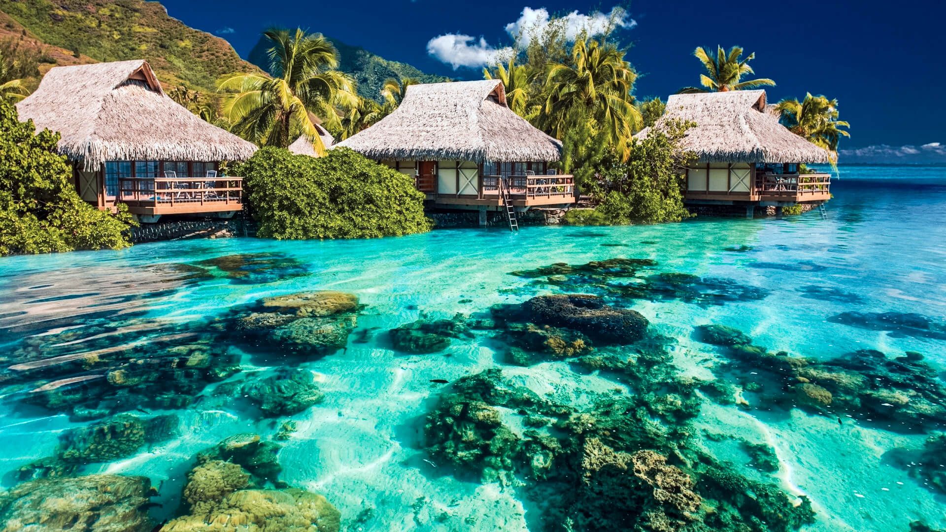 Miami Intl (MIA) to MalΓ© Maldives (MLE)